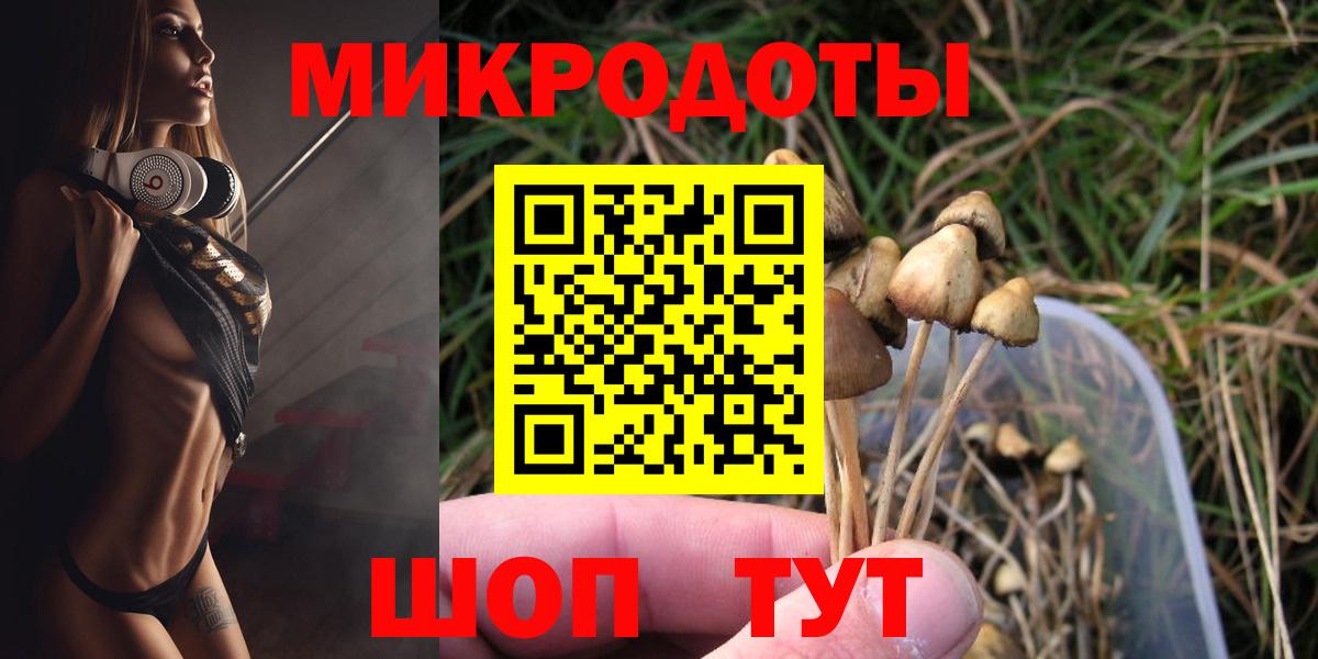 Псилоцибиновые грибы MAGIC MUSHROOMS  Галлюциногенные грибы Psilocybe  Тайшет  Вход с VPN 